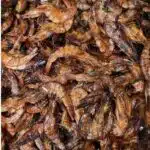 Dry Crayfish
