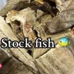 Stockfish