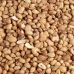 Beans