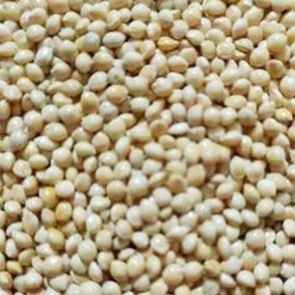 This product is packed with essential vitamins, minerals, and fiber, millet offers a range of health benefits, including improved digestion, boosted energy levels, and strengthened immunity.