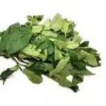 Ugu Leaf 1 bunch
